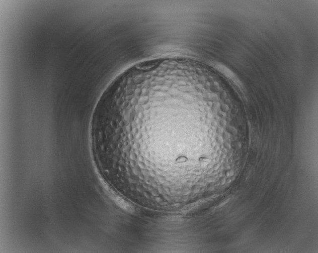 X0000073931431200608251604