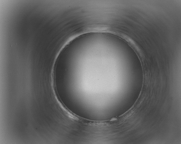 X0000073931432200608251604