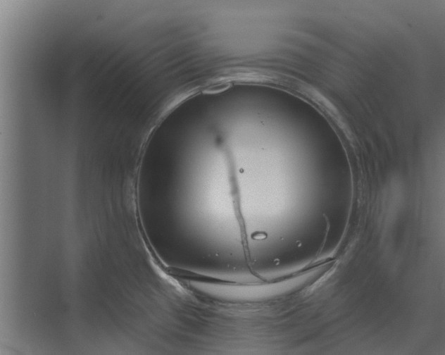 X0000073931433200608251604