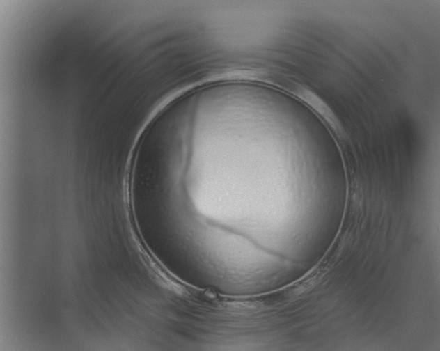 X0000073931436200608251604