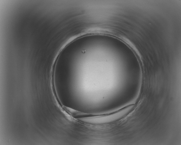 X0000073931437200608251604