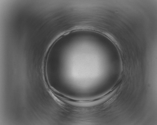 X0000073931438200608251604