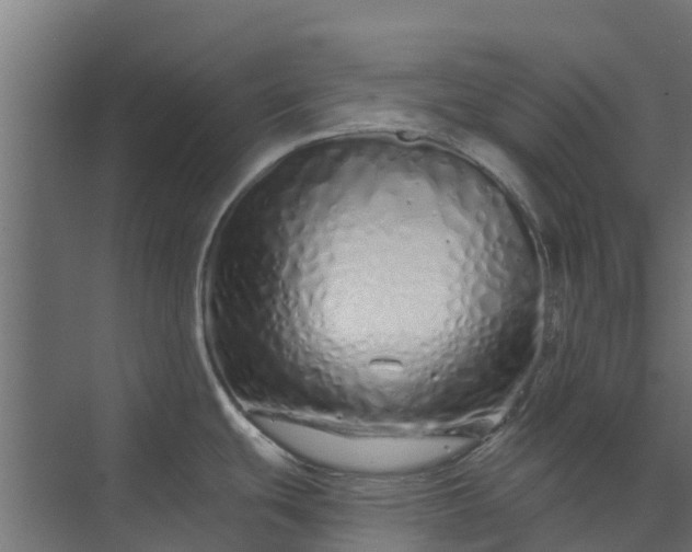 X0000073931439200608251604