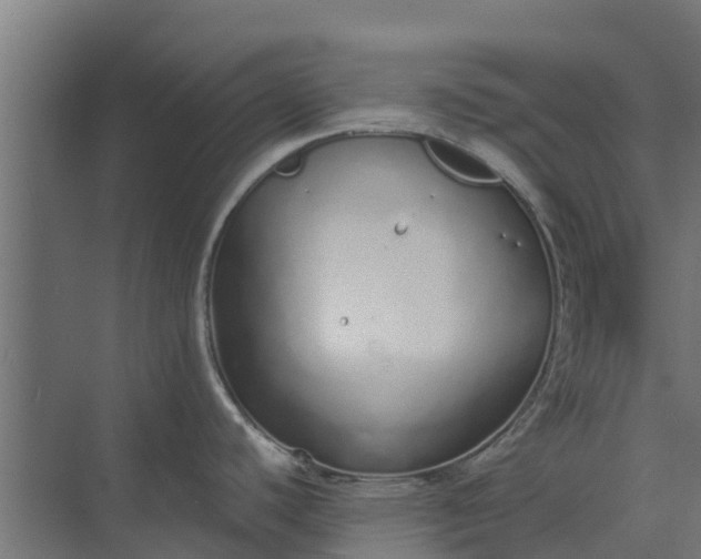 X0000073931440200608251604