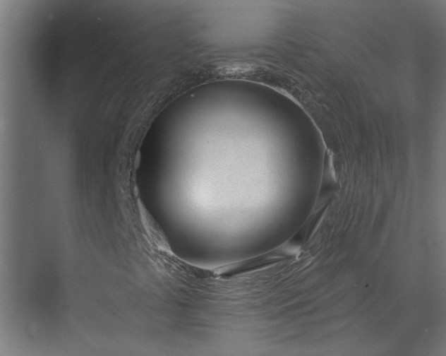 X0000073931441200608251603