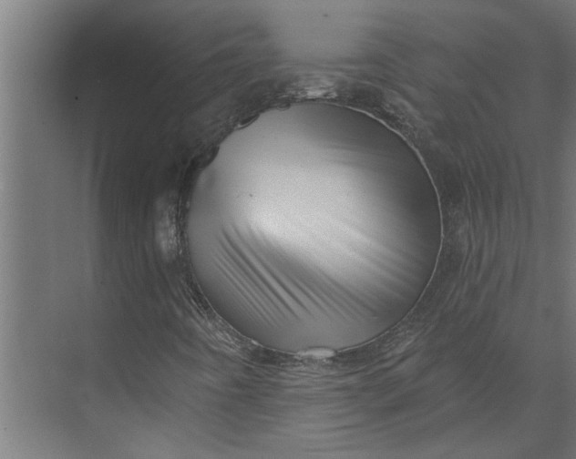 X0000073931442200608251603