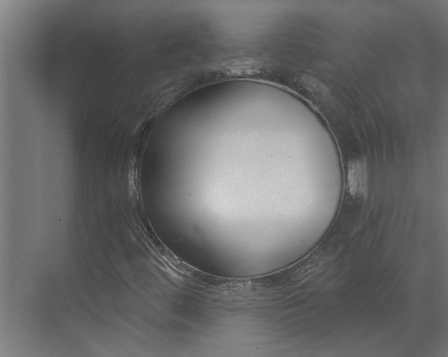 X0000073931444200608251603