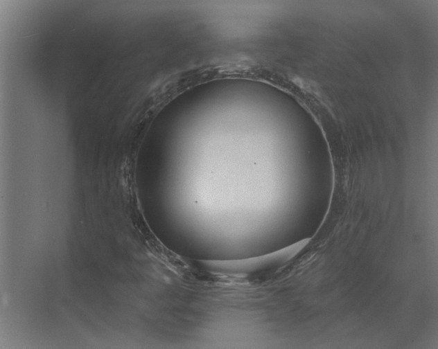 X0000073931445200608251603