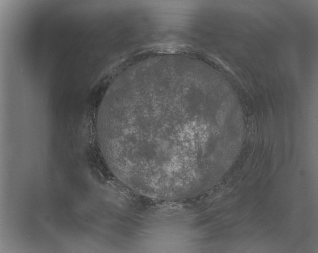 X0000073931446200608251603