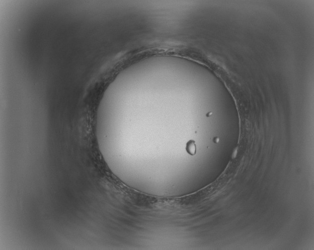 X0000073931447200608251603