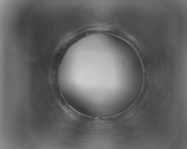 X0000073931448200608251603