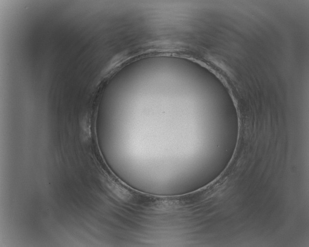 X0000073931451200608251603