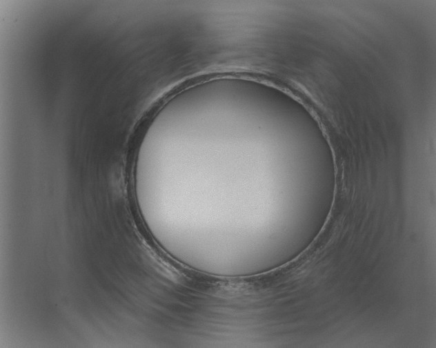 X0000073931452200608251603