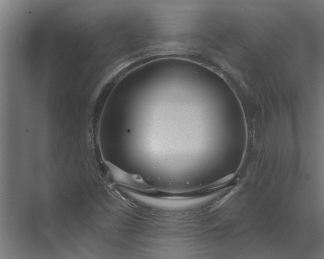 X0000073931453200608251603