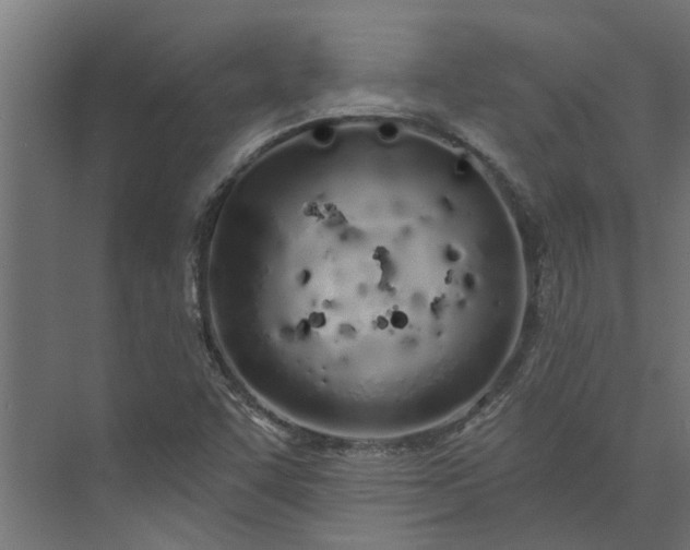 X0000073931455200608251603