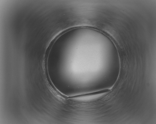 X0000073931460200608251603