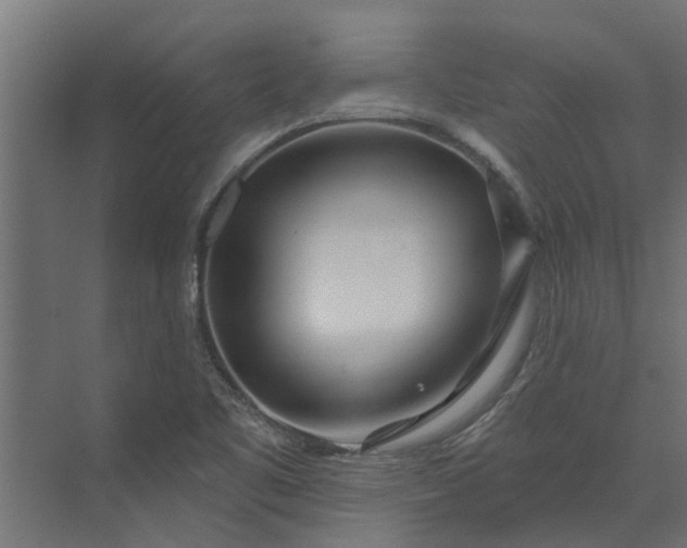 X0000073931461200608251603