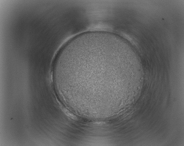 X0000073931462200608251603