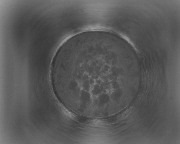 X0000073931463200608251603