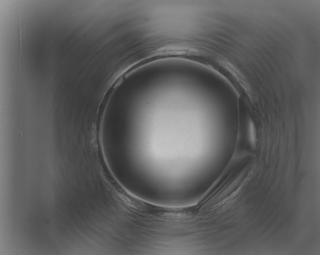 X0000073931465200608251603