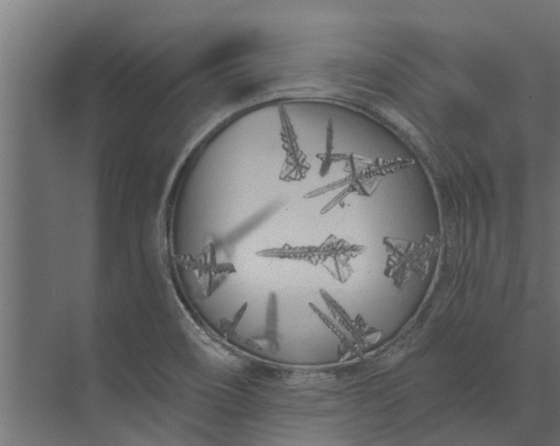 X0000073931466200608251603