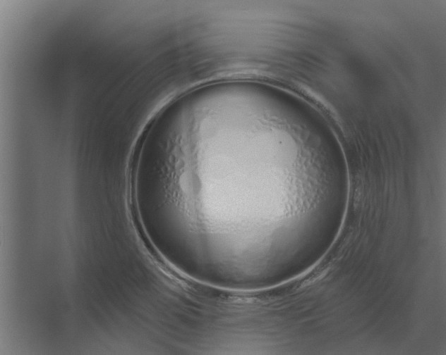 X0000073931467200608251602