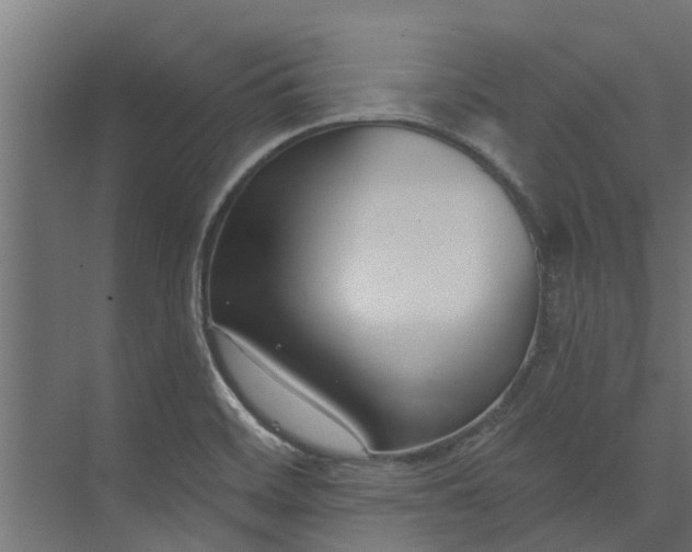 X0000073931468200608251602