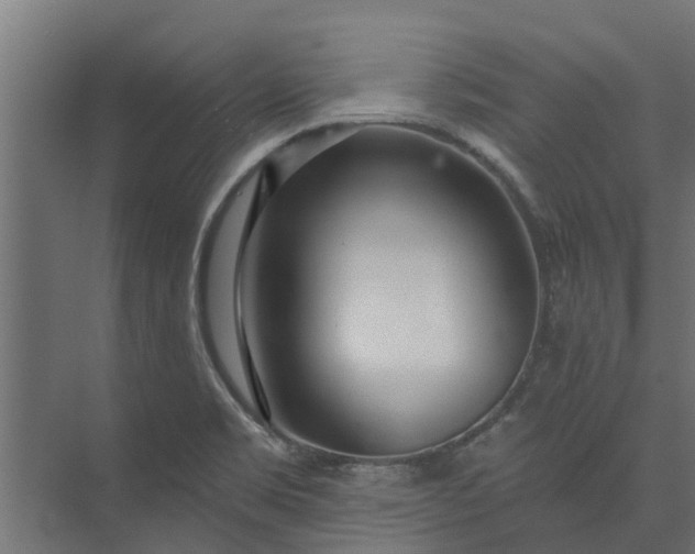 X0000073931469200608251602