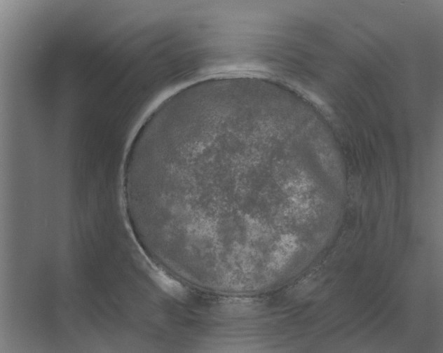 X0000073931470200608251602