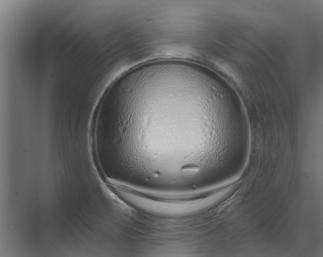 X0000073931471200608251602