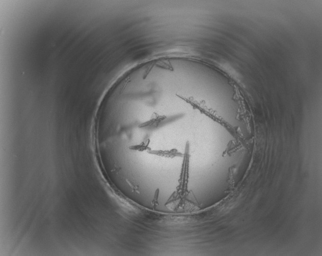 X0000073931474200608251602