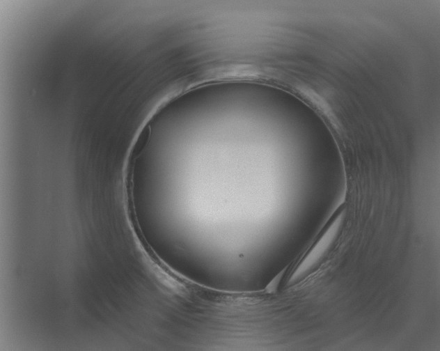 X0000073931475200608251602