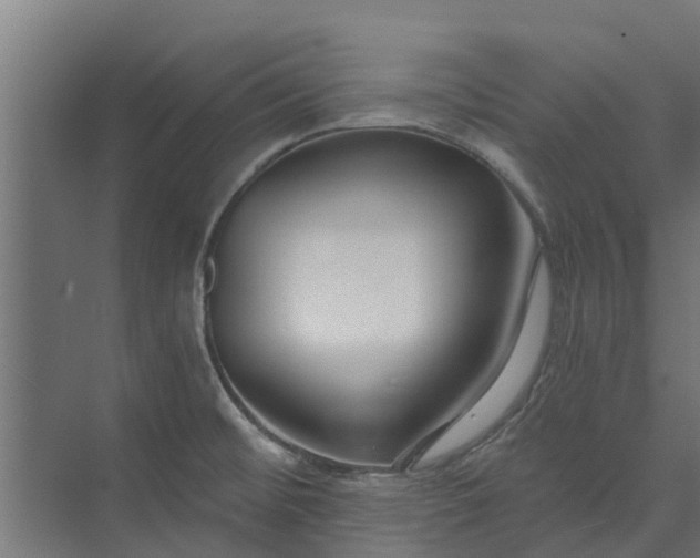 X0000073931476200608251602