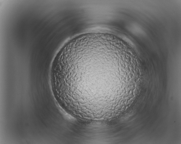 X0000073931478200608251602