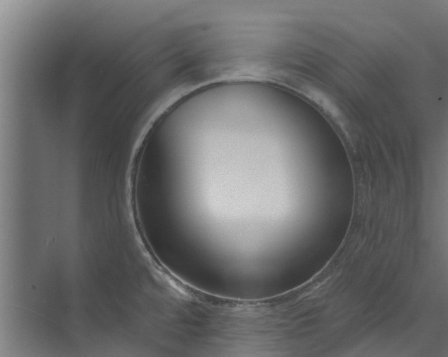 X0000073931480200608251602