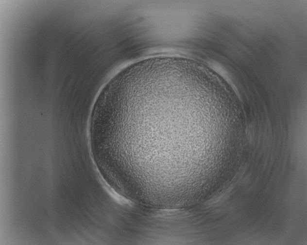 X0000073931482200608251602