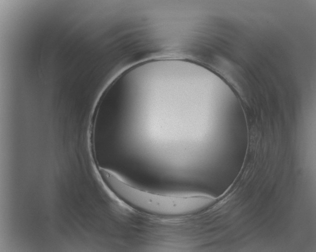 X0000073931484200608251602