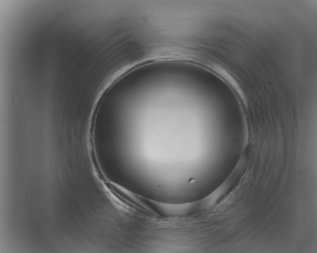 X0000073931485200608251602