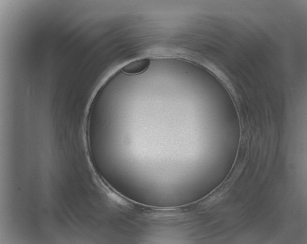 X0000073931486200608251602