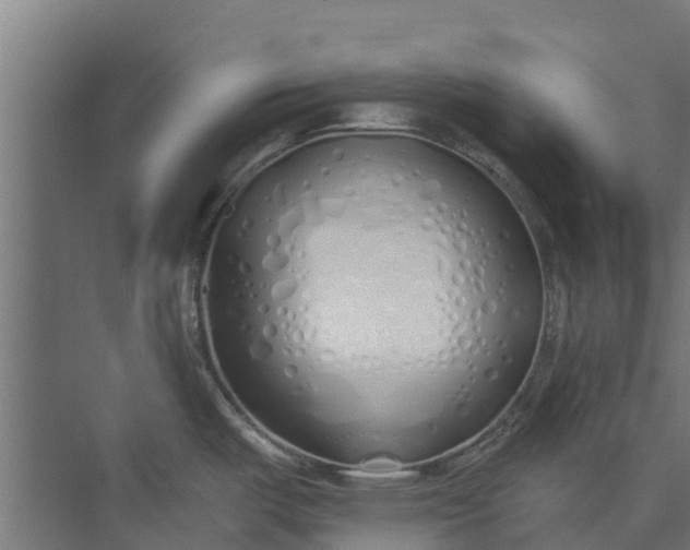 X0000073931487200608251602