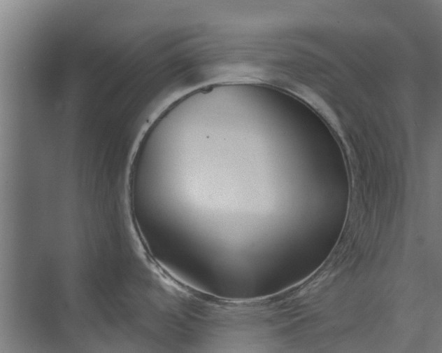 X0000073931488200608251602