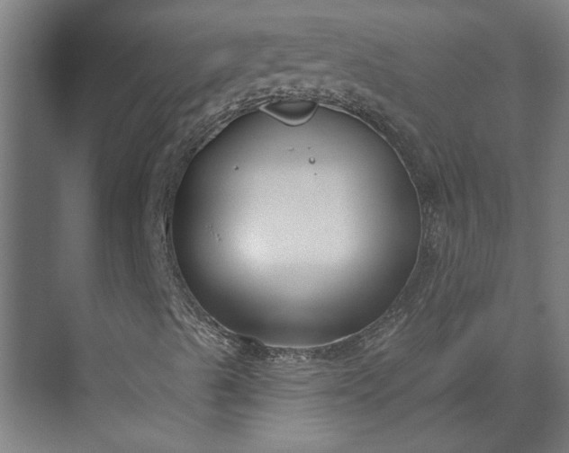 X0000073931489200608251601