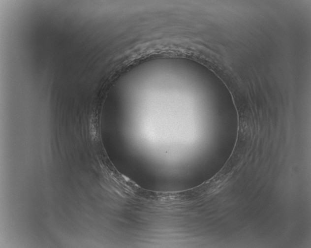 X0000073931490200608251601