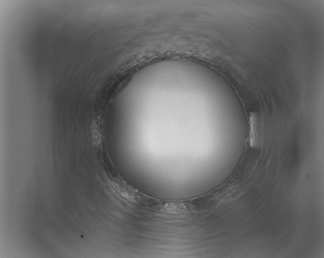 X0000073931491200608251601