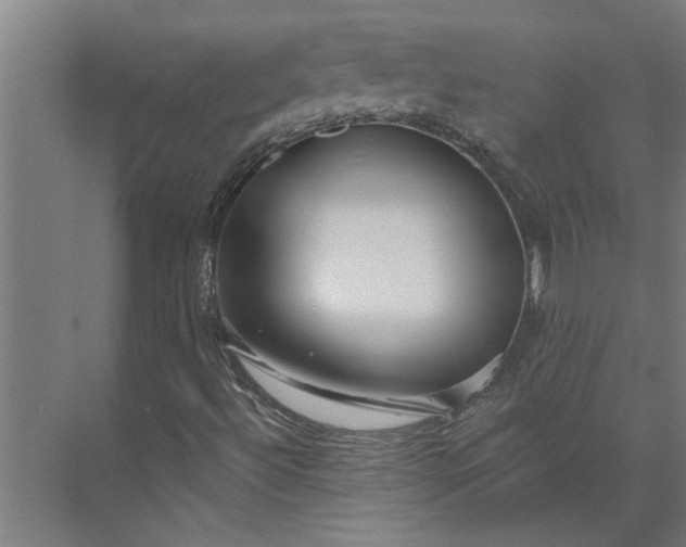 X0000073931492200608251601