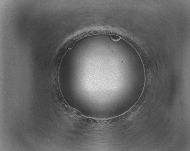 X0000073931494200608251601