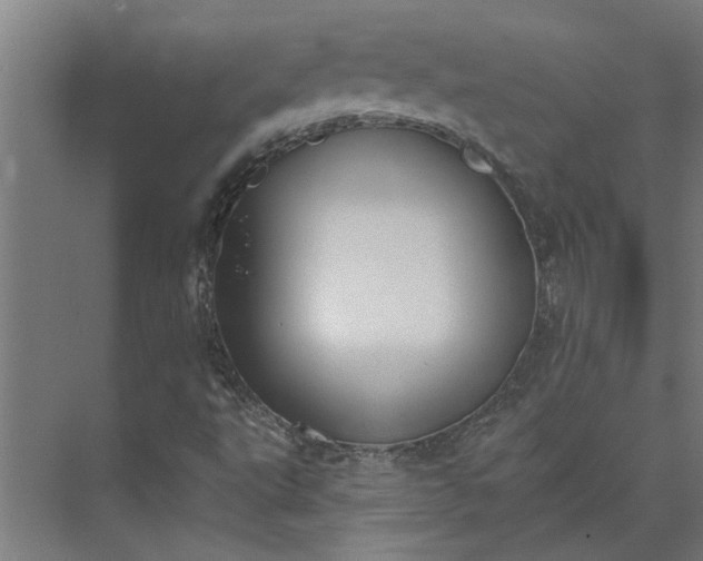 X0000073931495200608251601