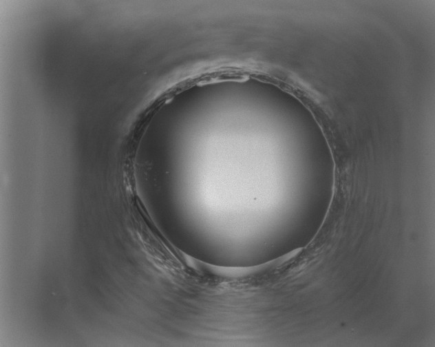 X0000073931496200608251601