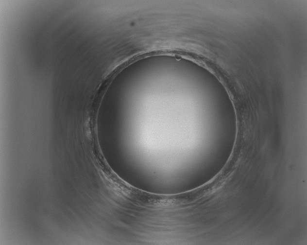 X0000073931497200608251601