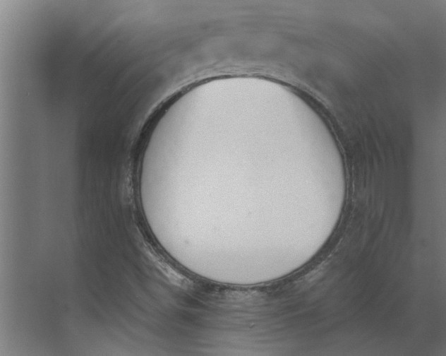 X0000073931498200608251601